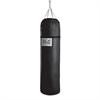 Everlast Leather Punching Bag